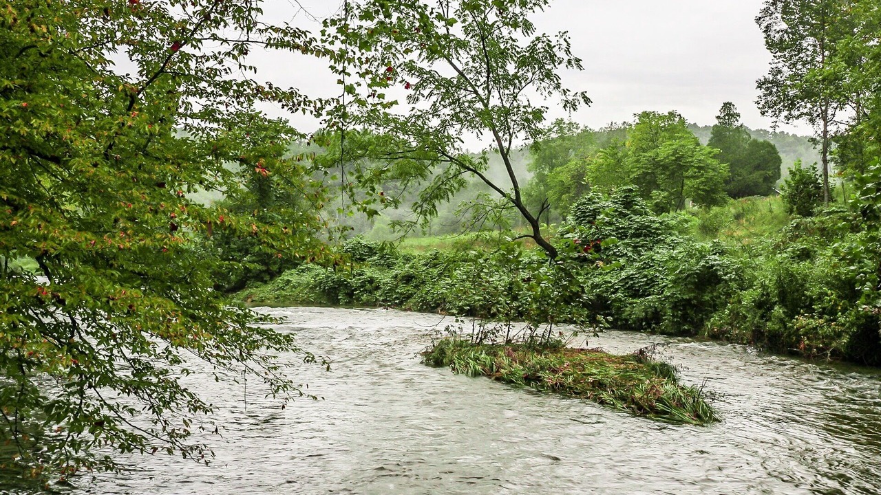 Photo of Others in Dan River