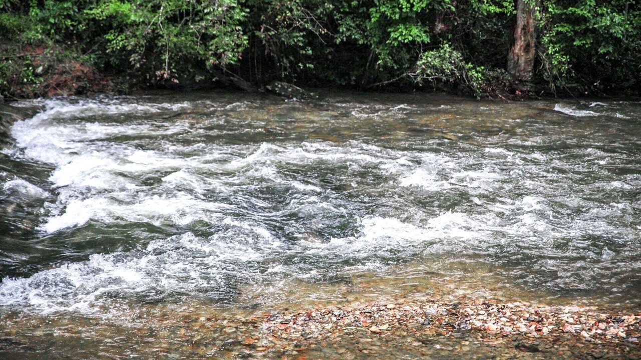 Photo of Others in Dan River