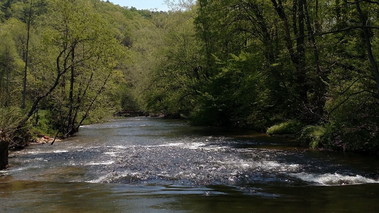 Photo of Others in Dan River