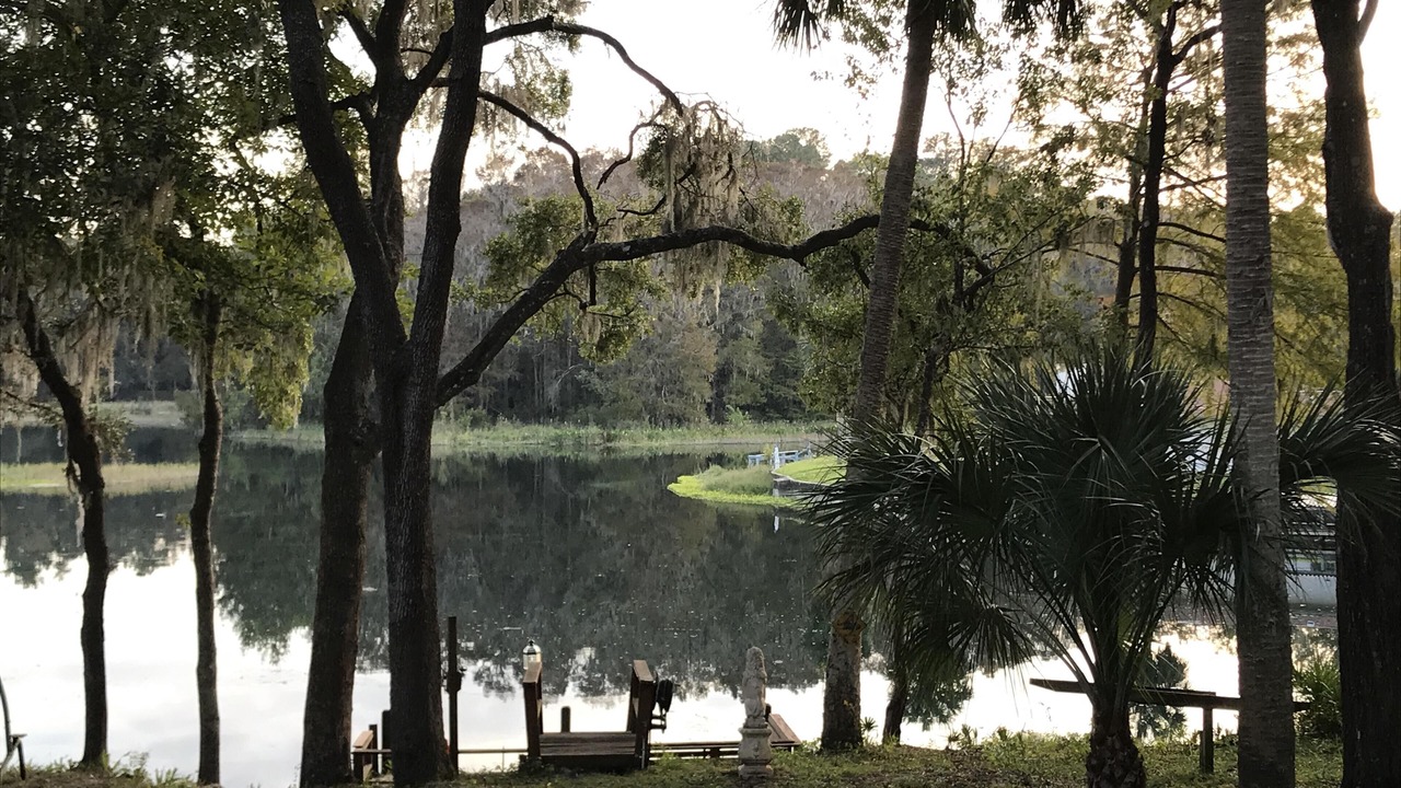 Photo of Others in Dunnellon