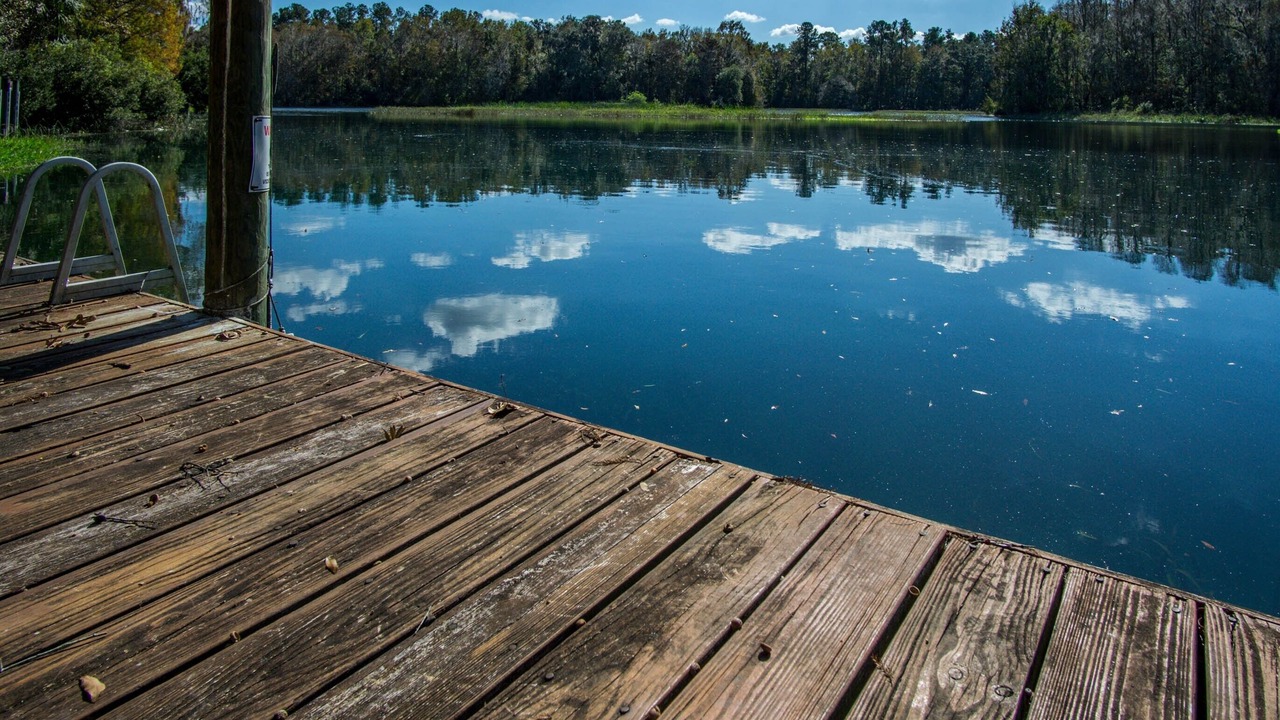 Photo of Others in Dunnellon