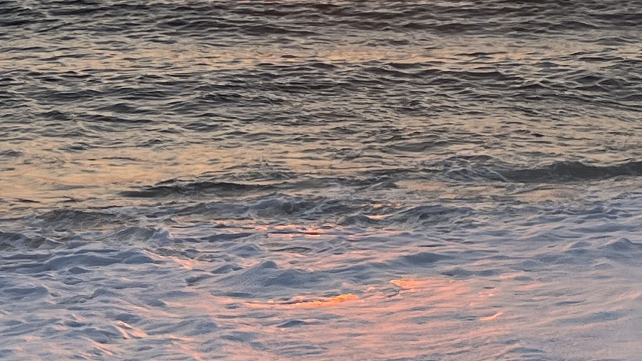 Photo of Others in Wellfleet