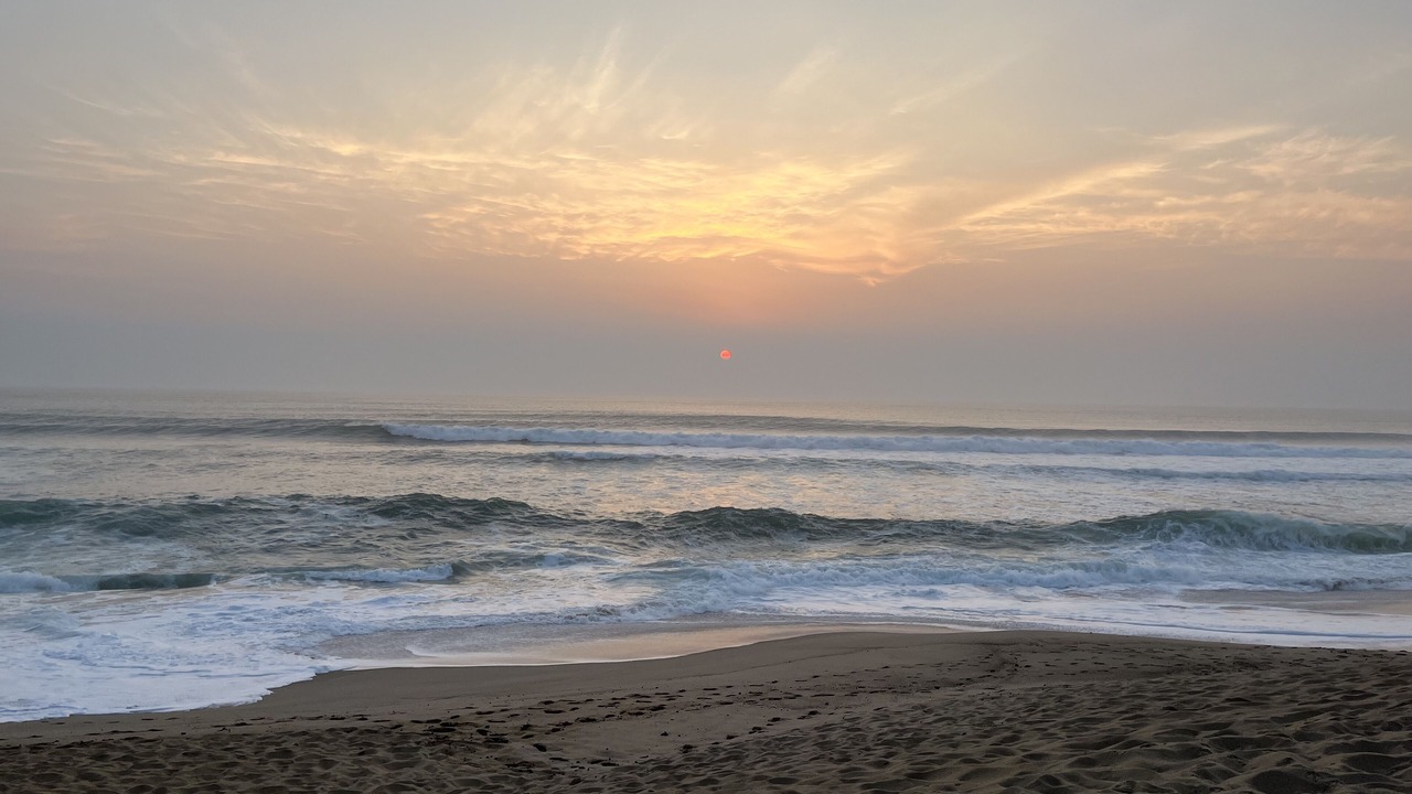 Photo of Others in Wellfleet
