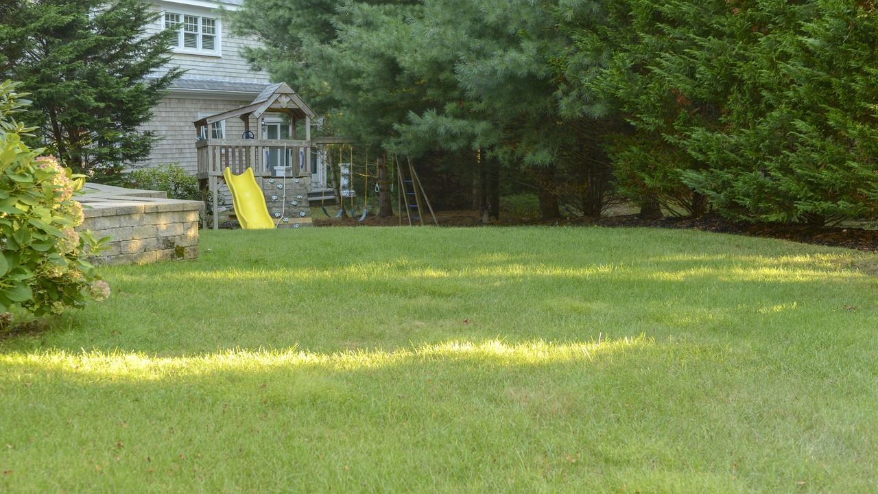 Photo of Others in East Falmouth