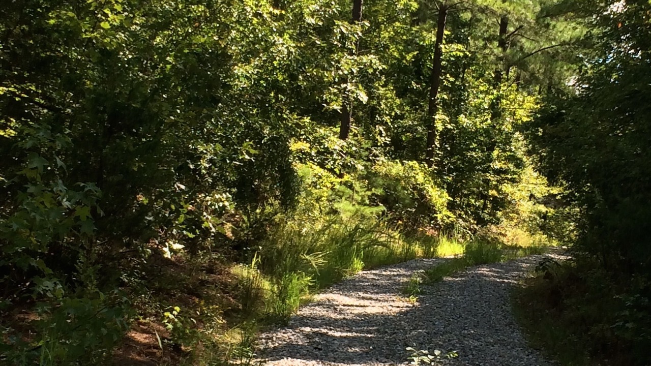 Photo of Outdoor in Clarksville