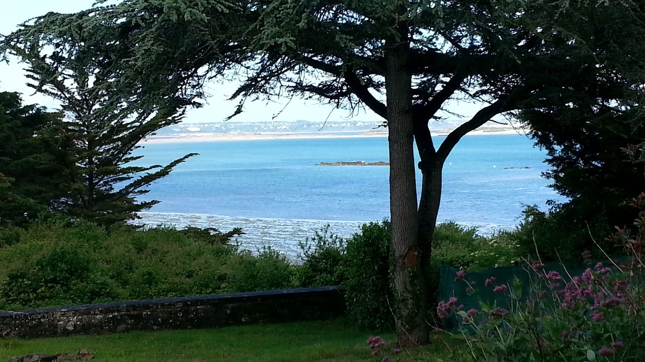 Photo of Outdoor in Lancieux