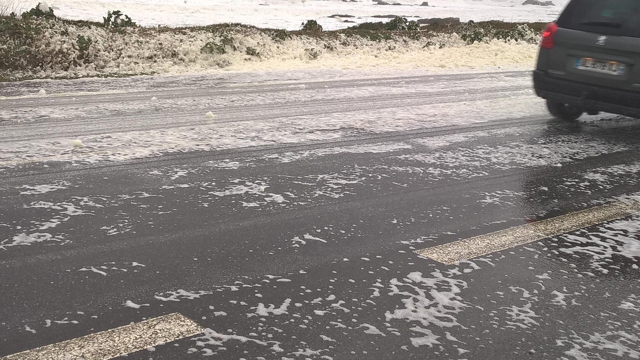 Photo of Others in Quiberon