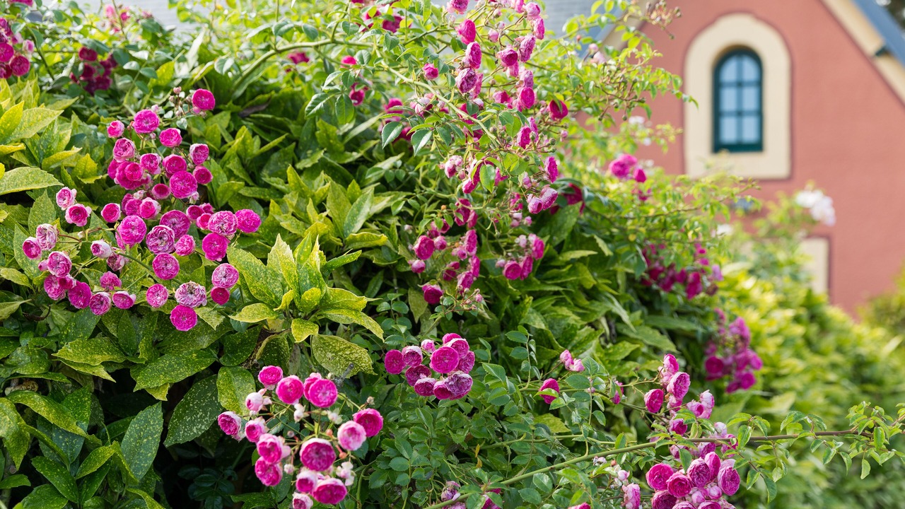 Photo of Outdoor in Treguennec