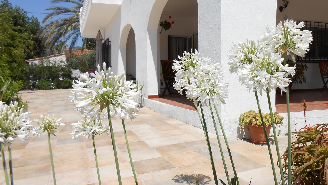 Photo of Outdoor in Palma de Gandia