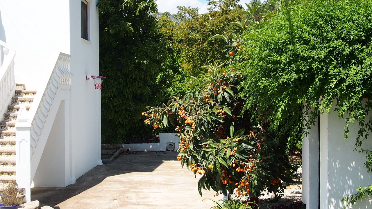Photo of Outdoor in Palma de Gandia