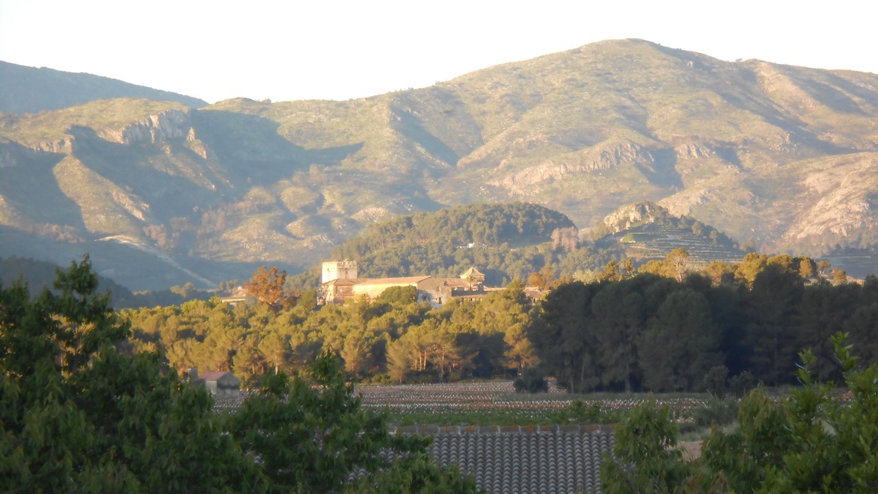 Photo of Others in Palma de Gandia