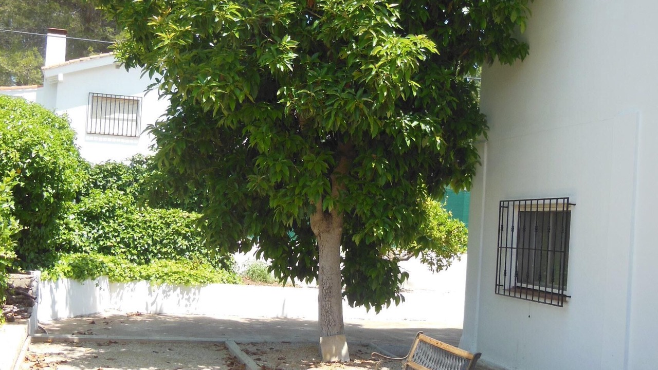 Photo of Outdoor in Palma de Gandia
