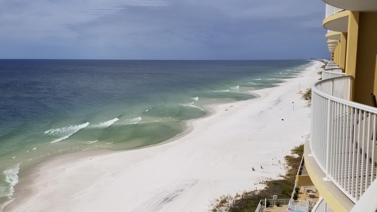 Photo of Others in West Panama City Beach