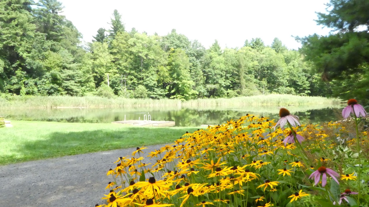 Photo of Outdoor in Lee