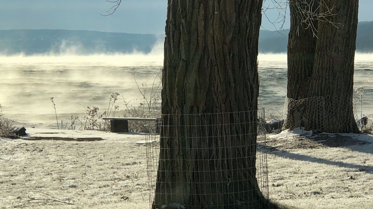 Photo of Outdoor in Lansing