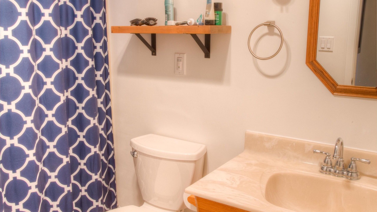 Photo of Bathroom in Lansing