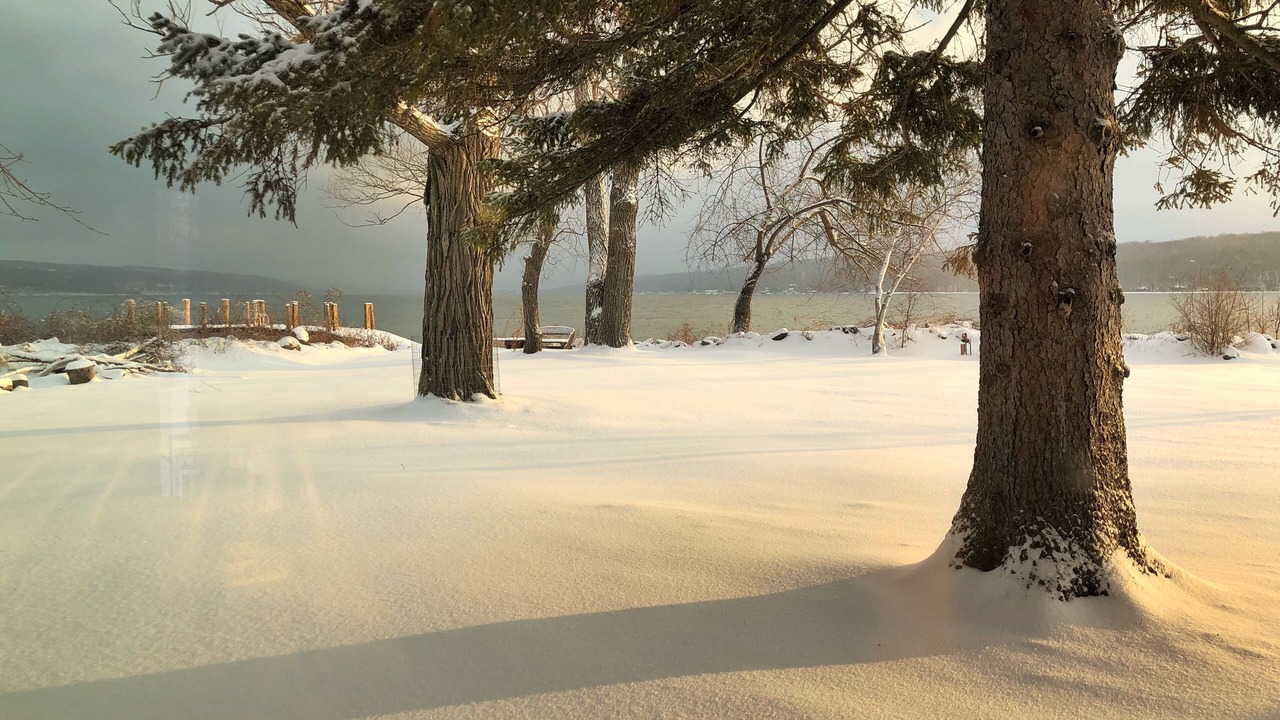 Photo of Outdoor in Lansing