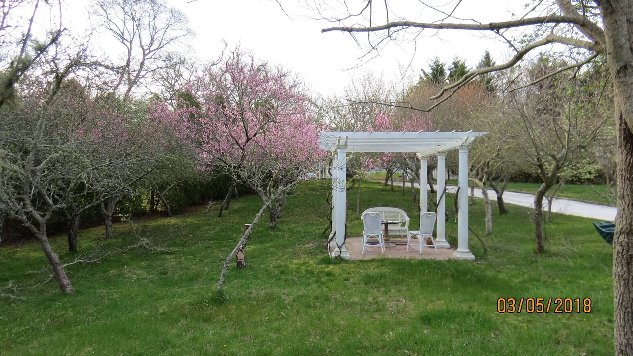 Photo of Outdoor in Orleans