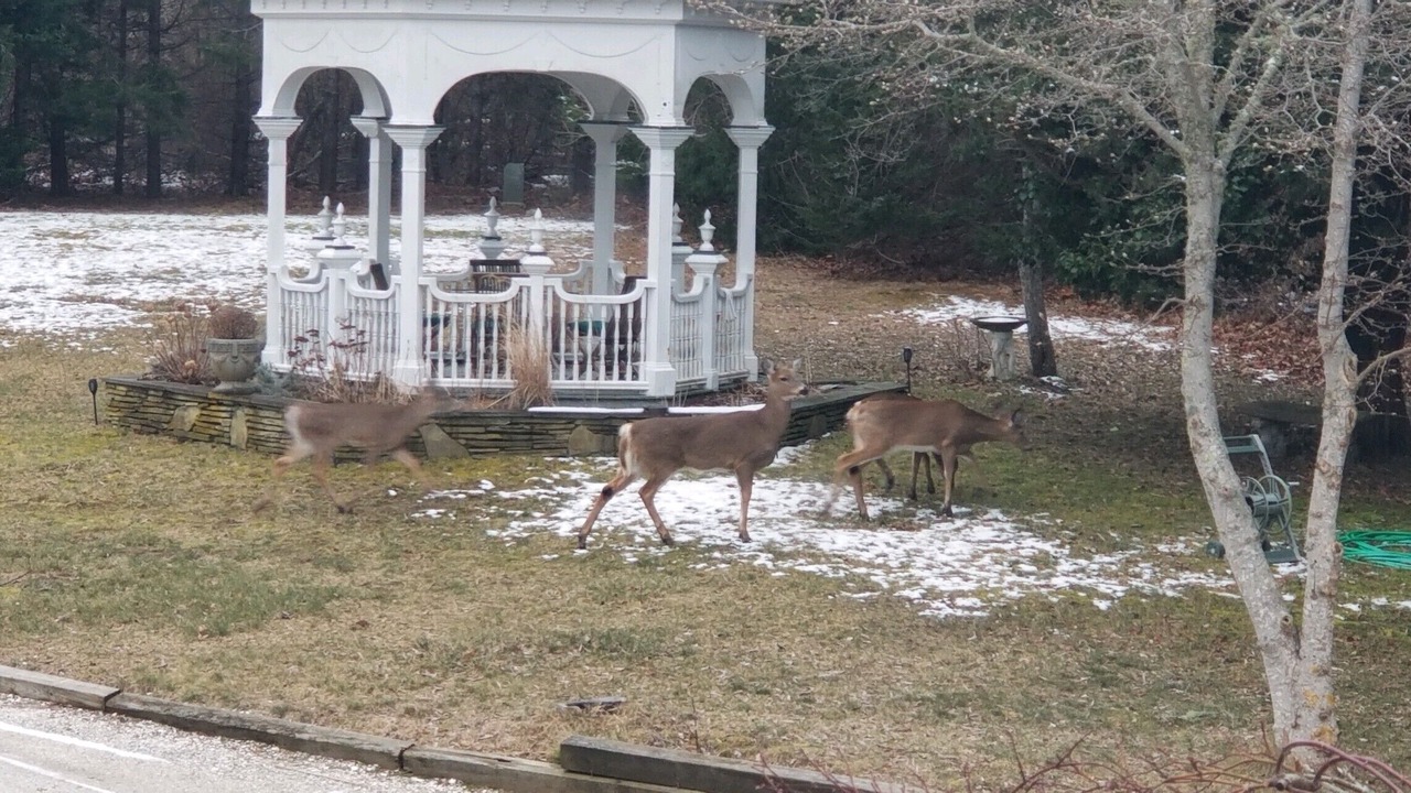 Photo of Outdoor in Orleans