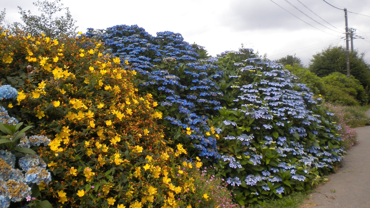 Photo of Outdoor in Leuhan