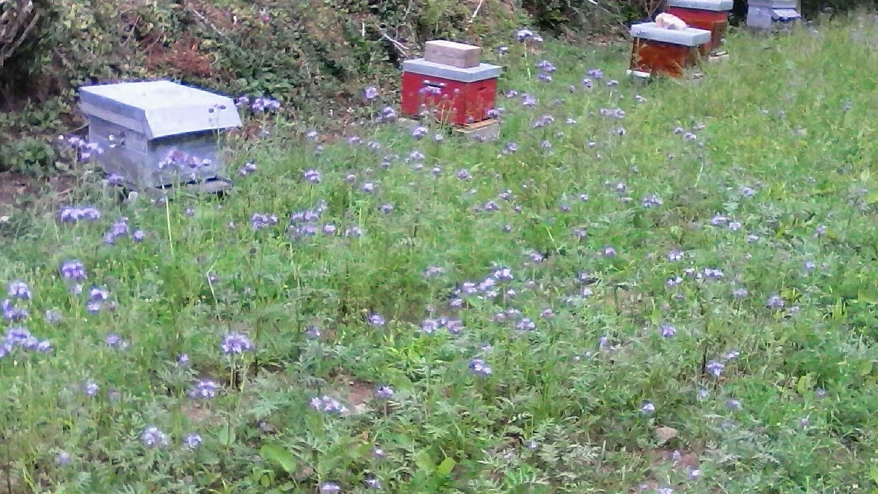 Photo of Outdoor in Leuhan