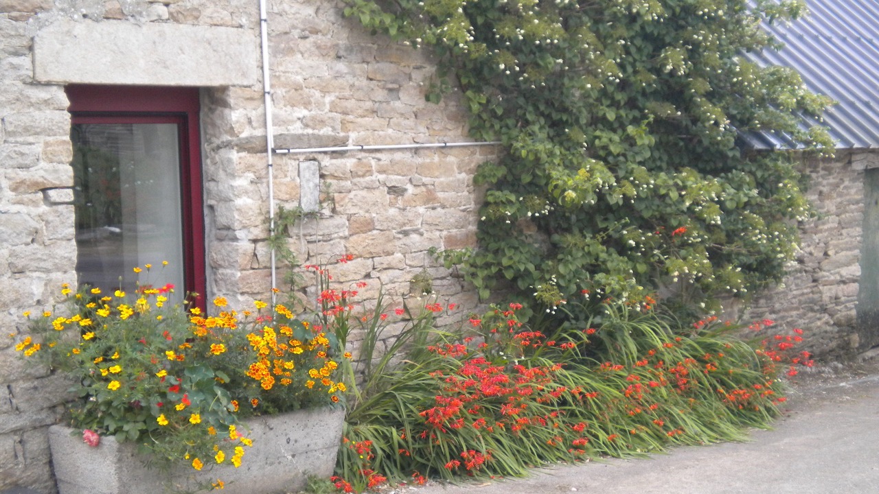 Photo of Outdoor in Leuhan