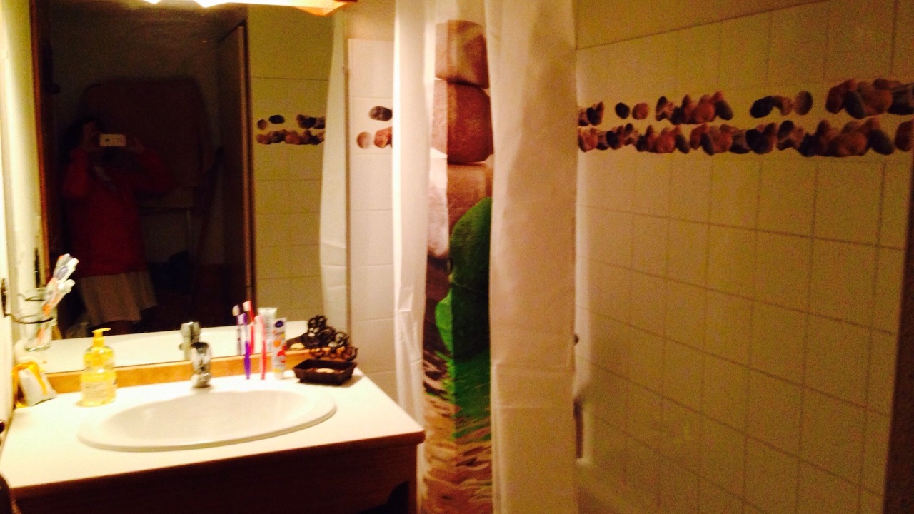 Photo of Bathroom in La Joue du Loup