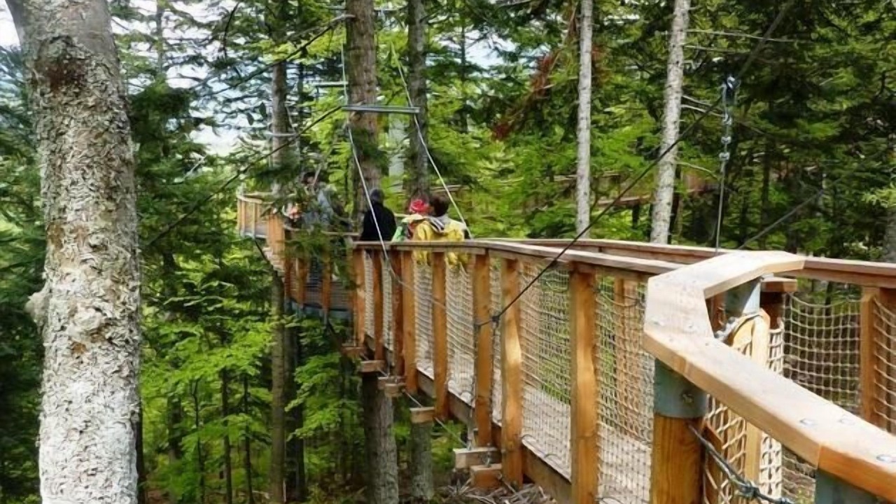 Photo of Outdoor in Treffort