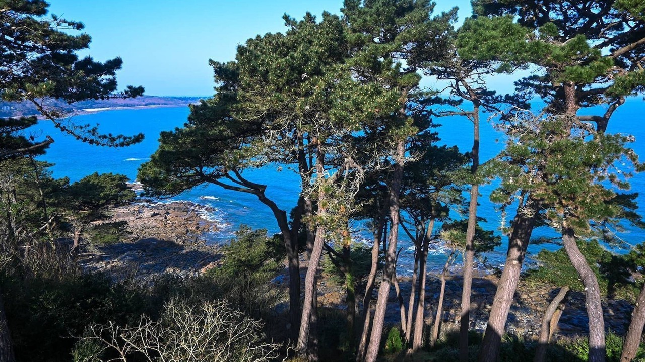 Photo of Others in Perros-Guirec