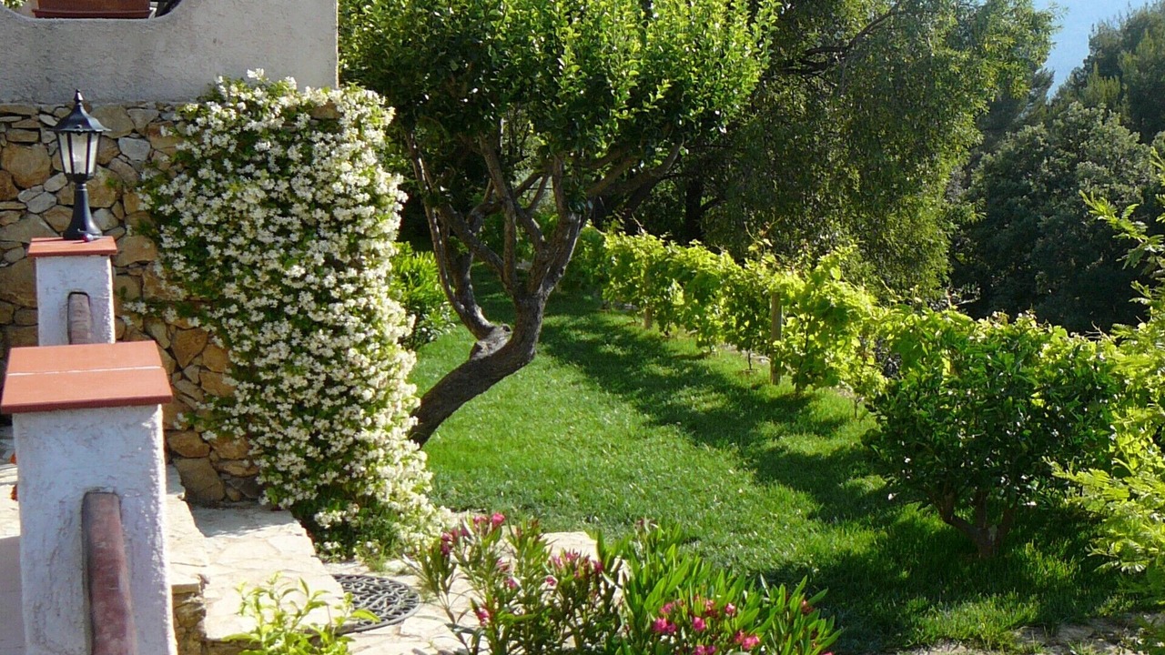 Photo of Outdoor in Le Beausset