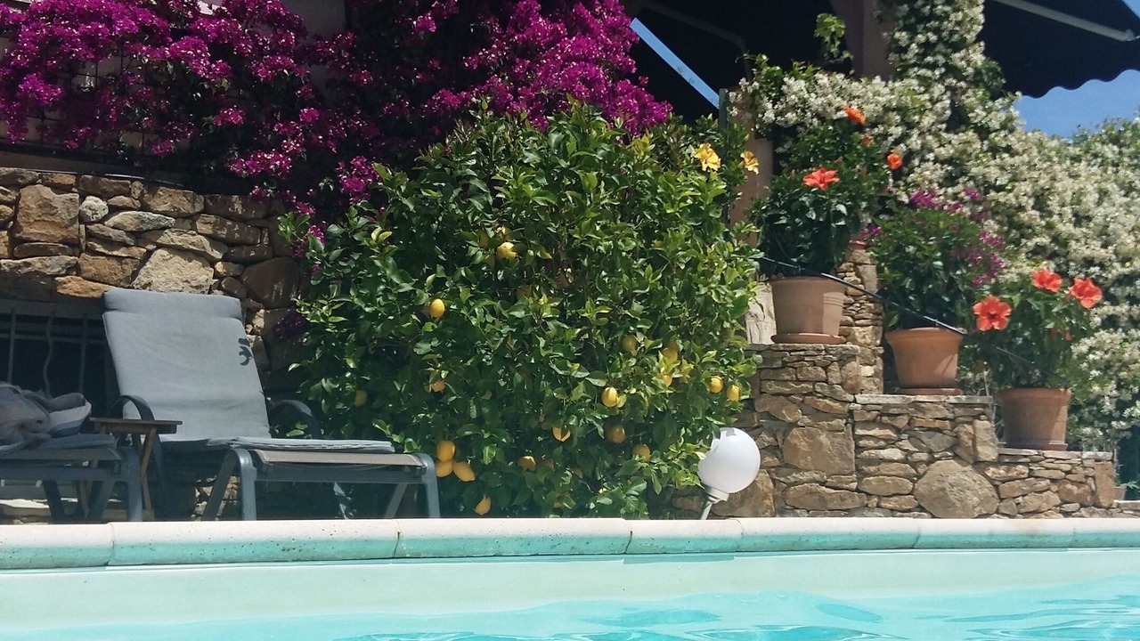 Photo of Outdoor in Le Beausset