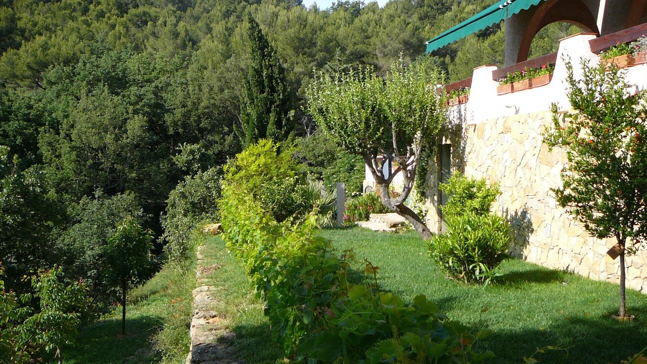 Photo of Outdoor in Le Beausset