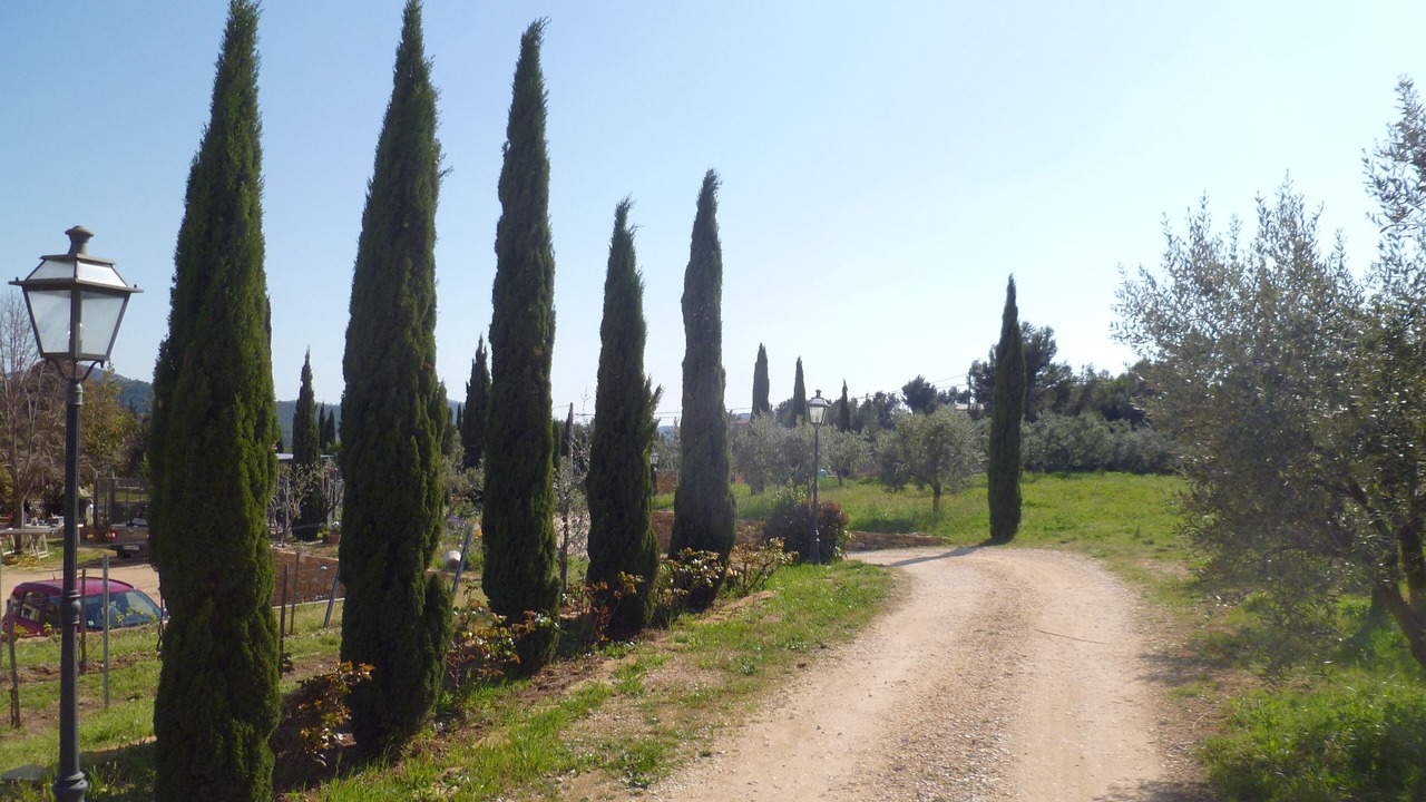 Photo of Outdoor in La Cadiere-d'Azur