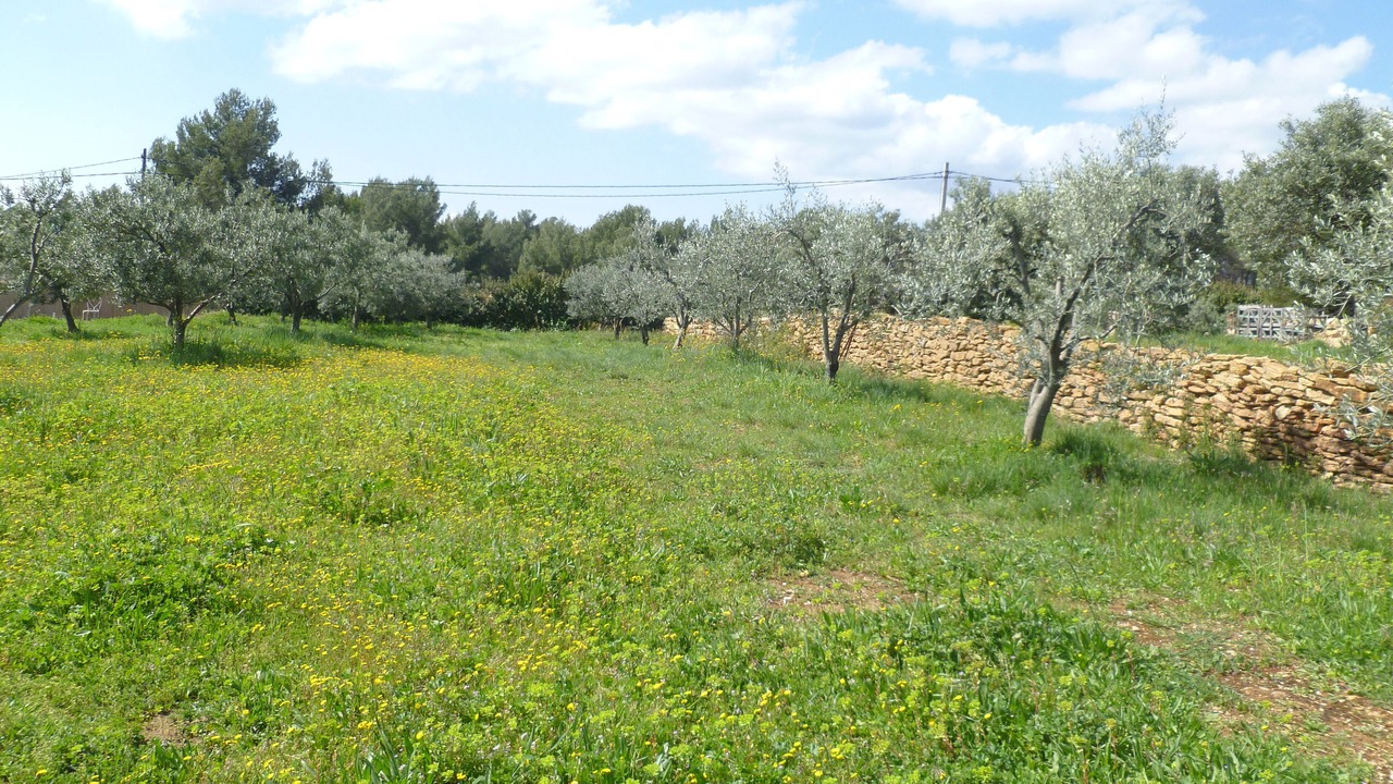 Photo of Outdoor in La Cadiere-d'Azur