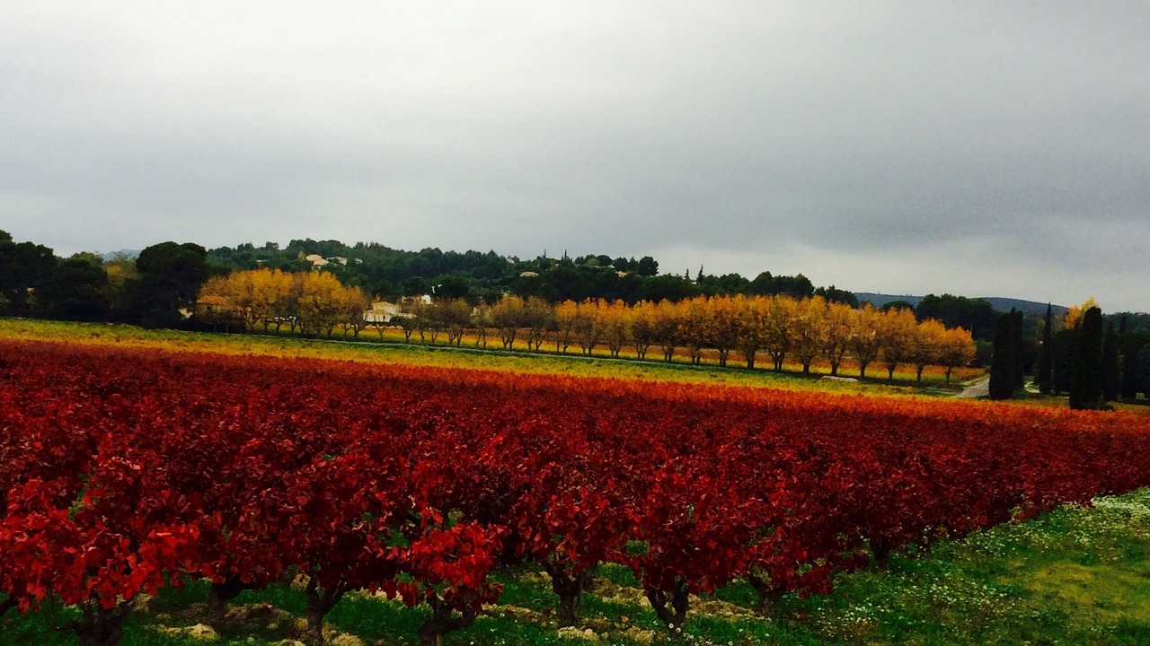 Photo of Outdoor in La Cadiere-d'Azur