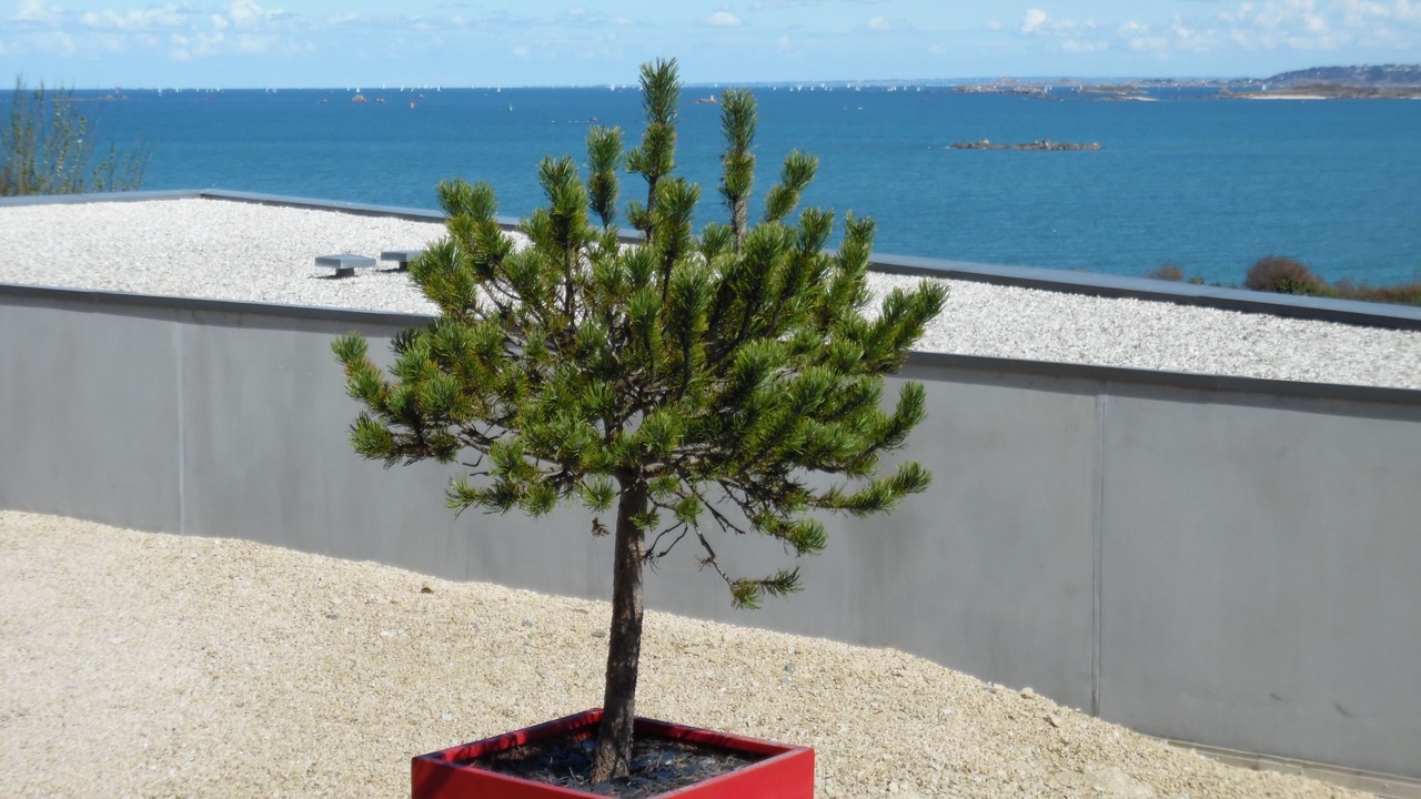 Photo of Outdoor in Saint-Pol-de-Leon