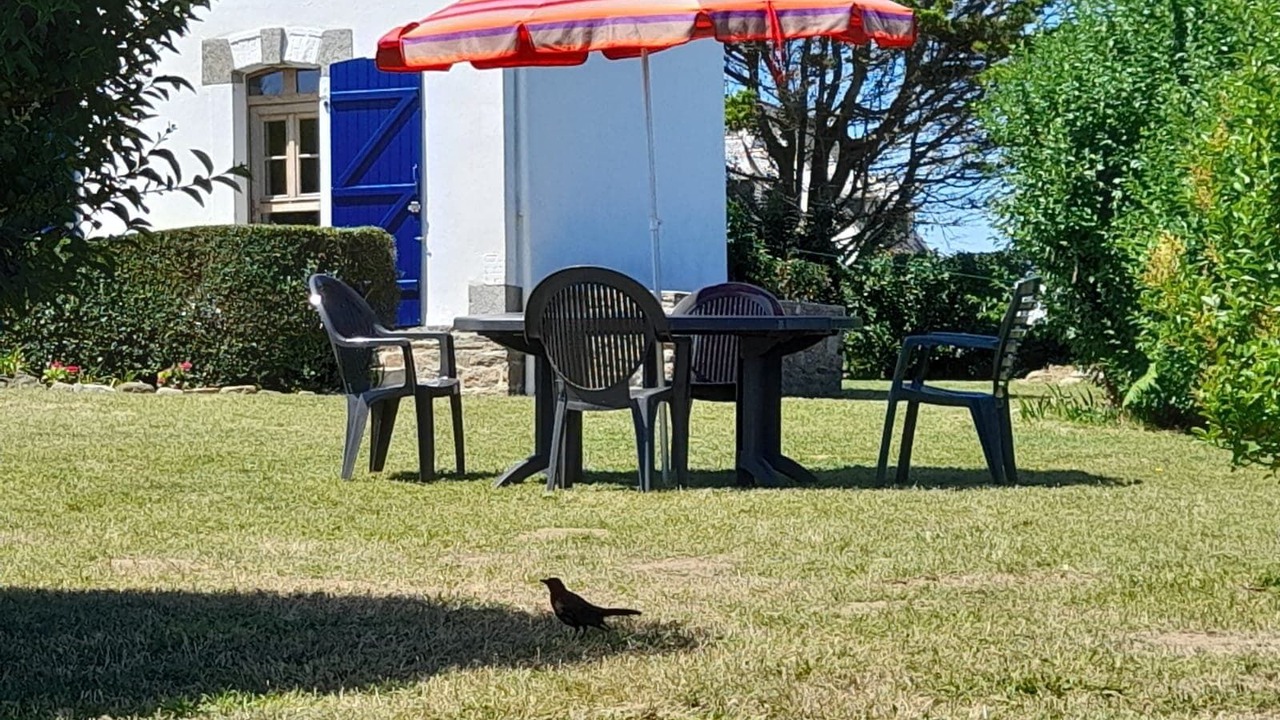 Photo of Outdoor in Nevez
