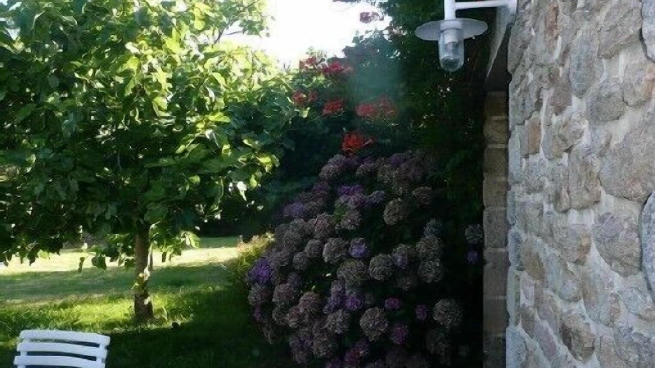 Photo of Outdoor in Arradon