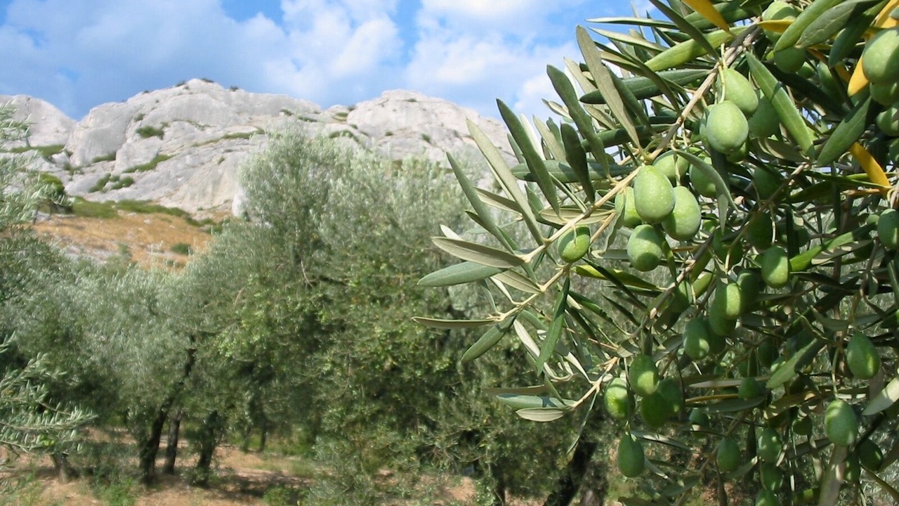 Photo of Outdoor in St.-Remy-de-Provence