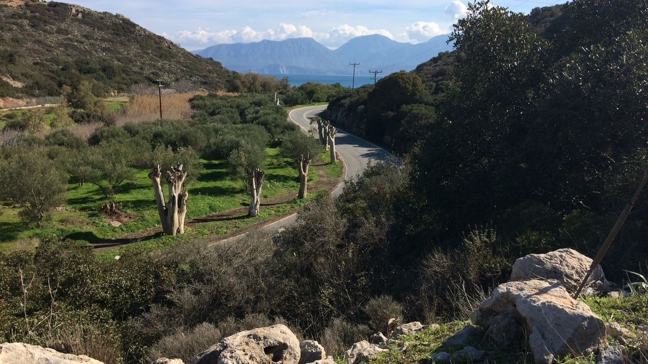 Photo of Others in Almyros