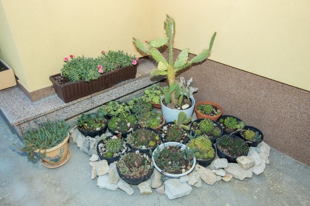 Photo of Outdoor in Lopar