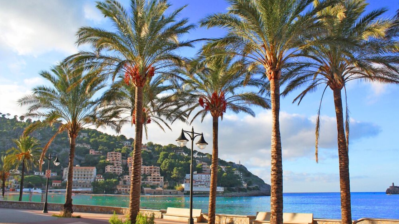 Photo of Others in Puerto de Soller