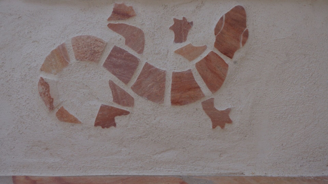 Photo of Others in Montauroux