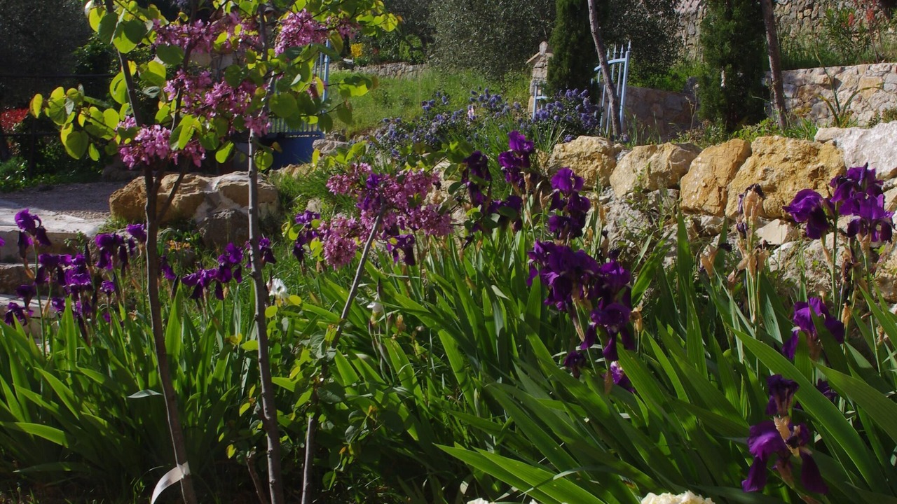 Photo of Outdoor in Montauroux