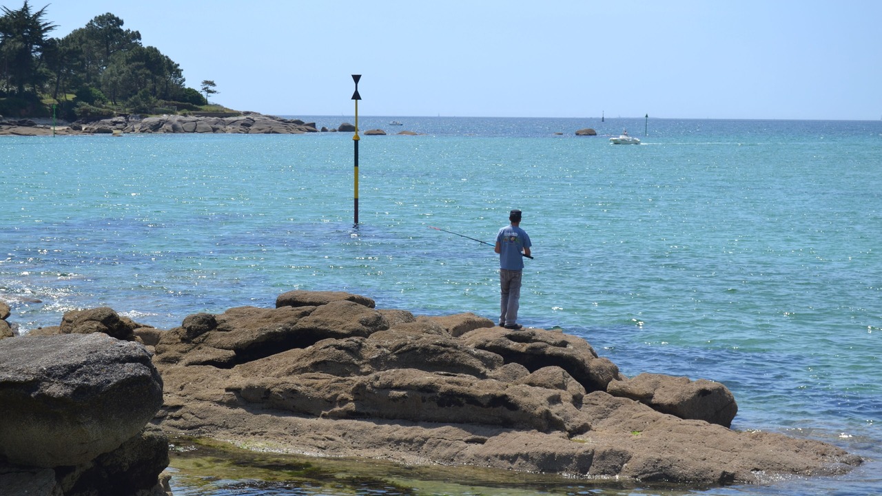 Photo of Others in Tregunc