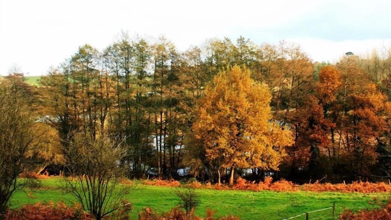 Photo of Outdoor in Plurien