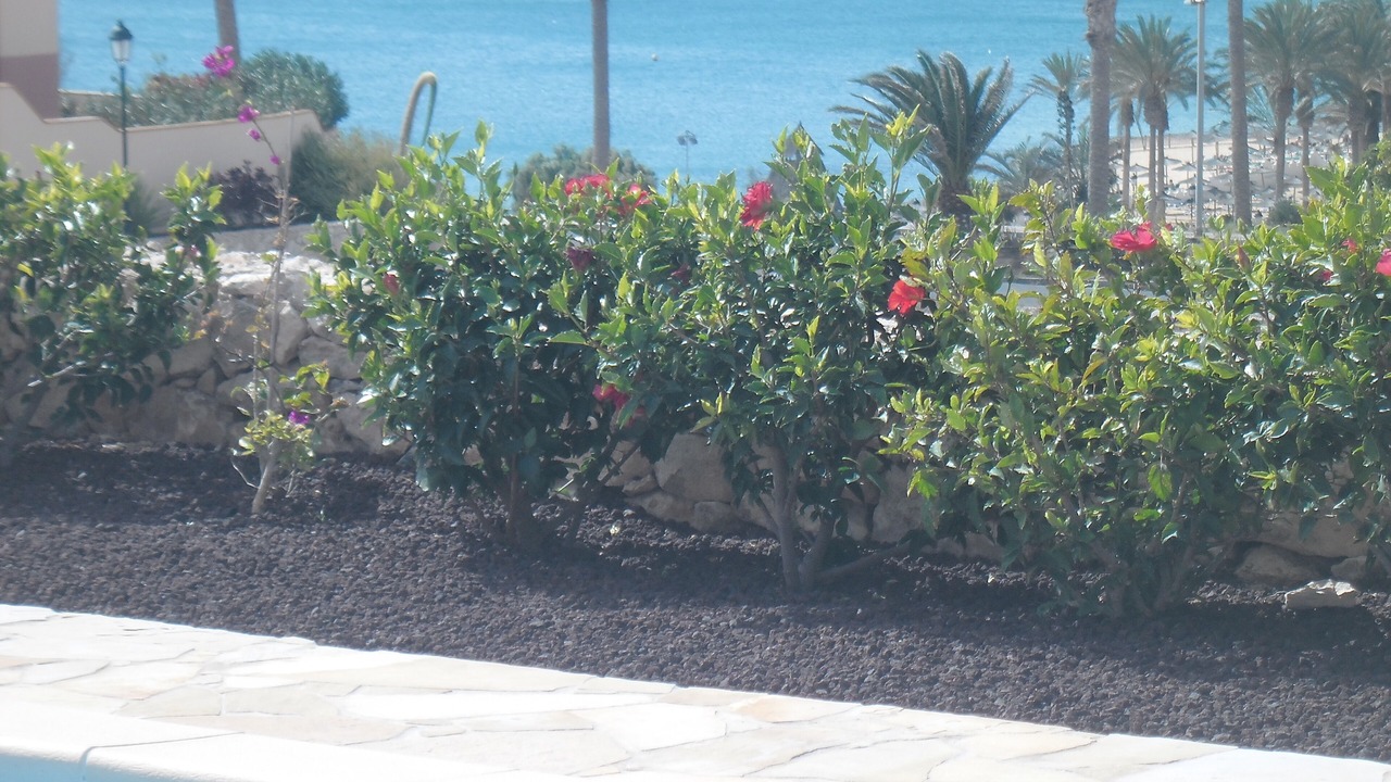 Photo of Outdoor in Bahia Calma