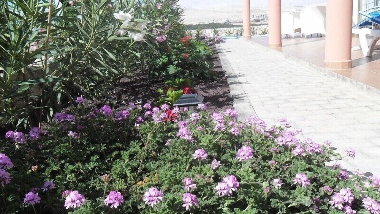 Photo of Outdoor in Bahia Calma