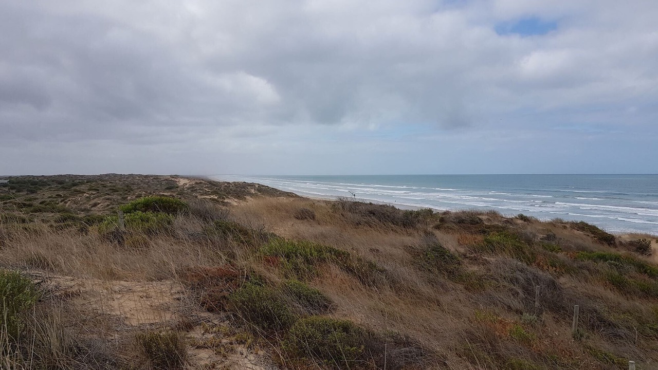 Photo of Others in Goolwa South