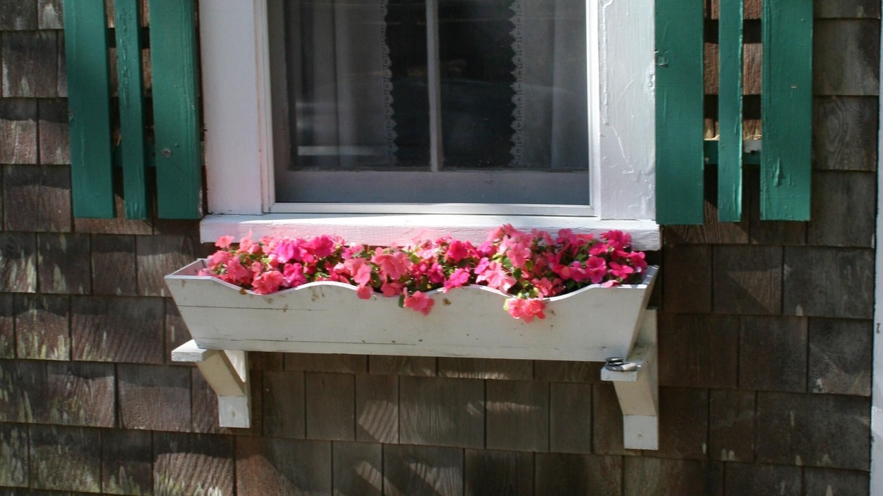 Photo of Others in Wellfleet